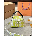 Louis capucines new arrival bag