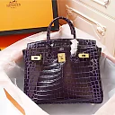 H Birkin 25, 30, 35  Electric Shiny Niloticus Crocodile gold Hardware