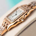 Cartier Panthère de Cartier Ref.WJPN0008 Watch – Ships from USA – Free Shipping, Minimalist & Luxury Design