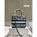 CD travel star women bag