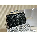 CD Miss 2024 new arrival bag size: 24*15cm