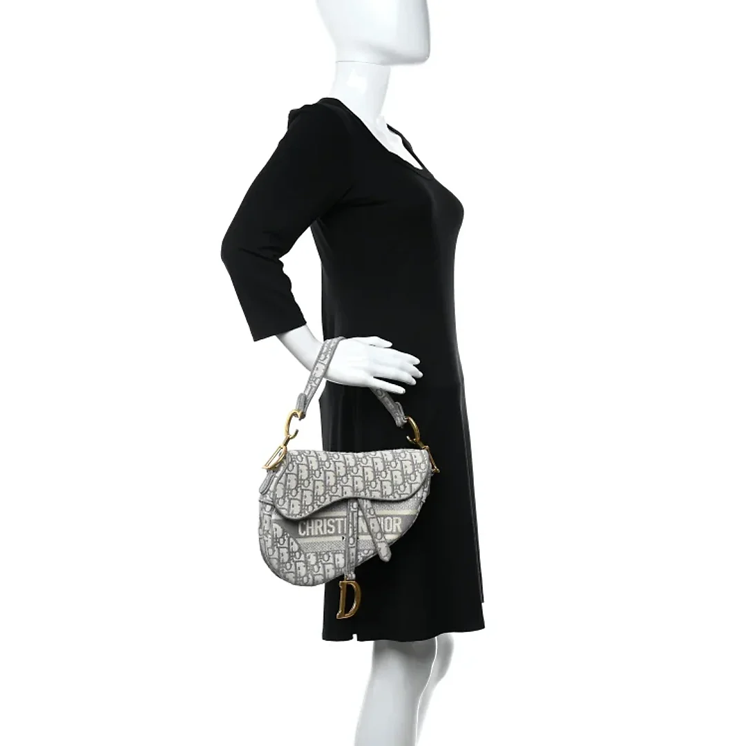 CHRISTIAN D Oblique Embroidered Saddle Bag Gray