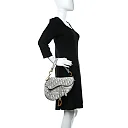 CHRISTIAN D Oblique Embroidered Saddle Bag Gray