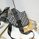 D homme2023 Pre-Fall saddle bag size : 20×28.6x5cm