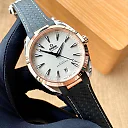 Omega Seamaster Aqua Terra 220.22.41.21.02.001 – Watch – Free Shipping | Minimalist & Luxury Design | Perfect Gift for Him