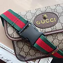 gg GC335 belt bag 9.4×7.9inch