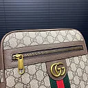 GG Ophidia bag size : 23 x 24 cm