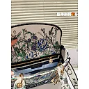CD travel star women bag