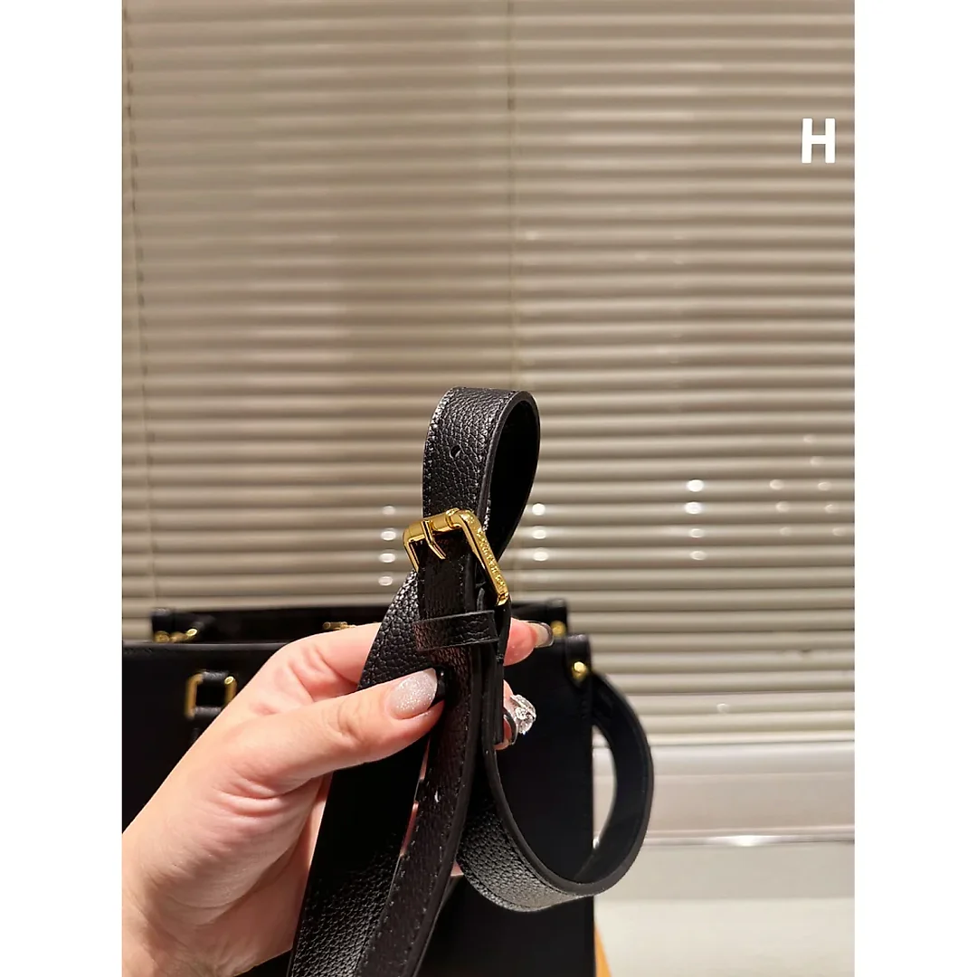 Louis Fall Capsule tote bag size ; 25cm