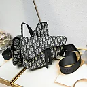 D homme2023 Pre-Fall saddle bag size : 20×28.6x5cm