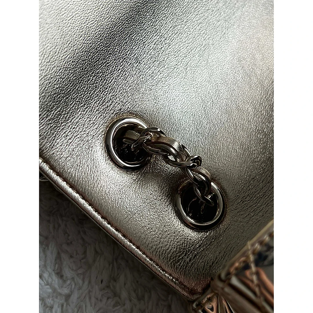 cc 24C Dinner bags series suit bags new arrival small size in 2 colours