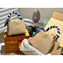 Louis capucines new arrival bag 05