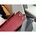 CC coco handle caviar leather size : 23*13cm