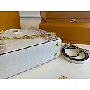 Louis Capucines new arrival bag