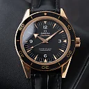 Omega Seamaster 300 Master Co-Axial Ref. 233.62.41.21.01.002 Watch – Free Shipping | Minimalist & Luxury Design | Perfect Gift for Him