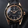 Omega Seamaster 300 Master Co-Axial Ref. 233.62.41.21.01.002 Watch – Free Shipping | Minimalist & Luxury Design | Perfect Gift for Him