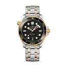 Omega Seamaster DIVER 300M COâ€‘AXIAL MASTER CHRONOMETER Ref# 210.20.42.20.01.002