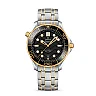 Omega Seamaster DIVER 300M CO‑AXIAL MASTER CHRONOMETER Ref# 210.20.42.20.01.002