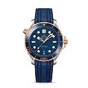 Omega Seamaster DIVER 300M COâ€‘AXIAL MASTER CHRONOMETER Ref# 210.22.42.20.03.002