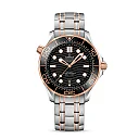 Omega Seamaster DIVER 300M COâ€‘AXIAL MASTER CHRONOMETER Ref# 210.20.42.20.01.001