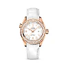 Omega Seamaster PLANET OCEAN 600M CO‑AXIAL MASTER CHRONOMETER Ref# 232.58.38.20.04.001