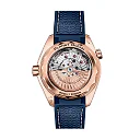 Omega Seamaster PLANET OCEAN 600M COâ€‘AXIAL MASTER CHRONOMETER Ref# 215.63.44.21.03.001
