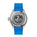 Omega Seamaster PLANET OCEAN 600M COâ€‘AXIAL MASTER CHRONOMETER Ref# 215.32.46.21.03.001