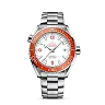 Omega Seamaster PLANET OCEAN 600M COâ€‘AXIAL MASTER CHRONOMETER Ref# 215.30.44.21.04.001