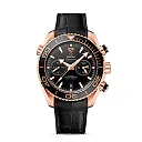 Omega Seamaster PLANET OCEAN 600M COâ€‘AXIAL MASTER CHRONOMETER CHRONOGRAPH Ref# 215.63.46.51.01.001