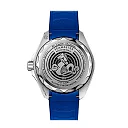 Omega Seamaster PLANET OCEAN 600M COâ€‘AXIAL MASTER CHRONOMETER Ref# 215.32.46.21.04.001