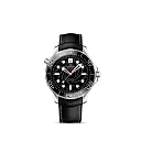 Omega Seamaster Ref. # 210.93.42.20.01.001