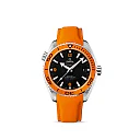 Omega Seamaster Ref. # 232.32.46.21.01.001