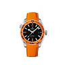 Omega Seamaster Ref. # 232.32.46.21.01.001