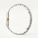 PanthÃ¨re de Cartier Large 18ct Yellow Gold & Steel Bracelet Watch