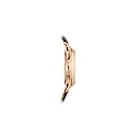 Patek Philippe Complication, 18k Rose Gold, 40mm, Annual Calendar Ref# 5205R-011