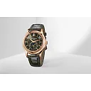 Patek Philippe Complication, 18k Rose Gold, 40mm, Annual Calendar Ref# 5205R-011