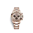 Rolex Cosmograph Daytona 40 mm 18 ct Everose gold Ref# 116505-0016
