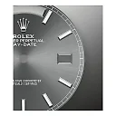Rolex Day-Date 40 Platinum Ref# 228396TBR-0031