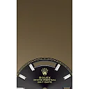 Rolex Day-Date 40 Yellow gold Ref# 228238-0004