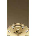 Rolex Day-Date 40 Yellow gold Ref# 228348RBR-0002