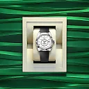 Rolex Sky-Dweller, 42mm, 18k White Gold, Ref# 336239-0003