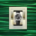 Rolex Sky-Dweller, 42mm, 18k White Gold, Ref# 336239-0002