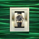 Rolex Sky-Dweller, 42mm, 18k Yellow Gold, Ref# 336238-0002
