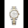 Rolex Sky-Dweller, 42mm, Oystersteel and 18k Yellow Gold, Ref# 336933-0005