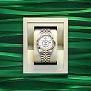 Rolex Sky-Dweller, 42mm, Oystersteel and 18k Yellow Gold, Ref# 336933-0006