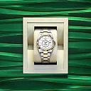 Rolex Sky-Dweller, 42mm, Oystersteel and 18k Yellow Gold, Ref# 336933-0005