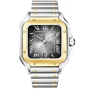 Santos de Cartier Large Two-Tone Grey Dial Bracelet/Strap Watch