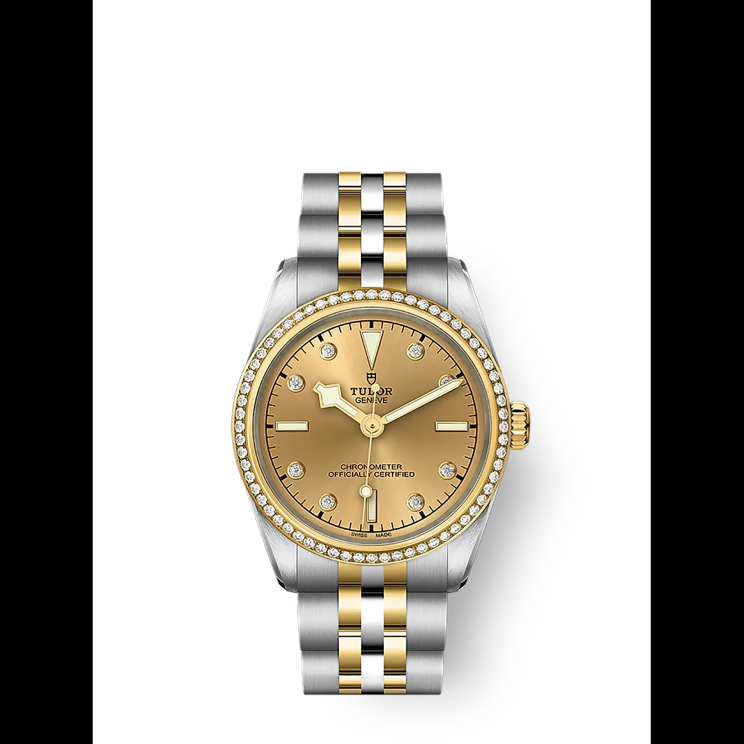 Tudor Black Bay 31 S&G, 316L Stainless Steel, 18k Yellow Gold and Diamonds, Ref# M79613-0007