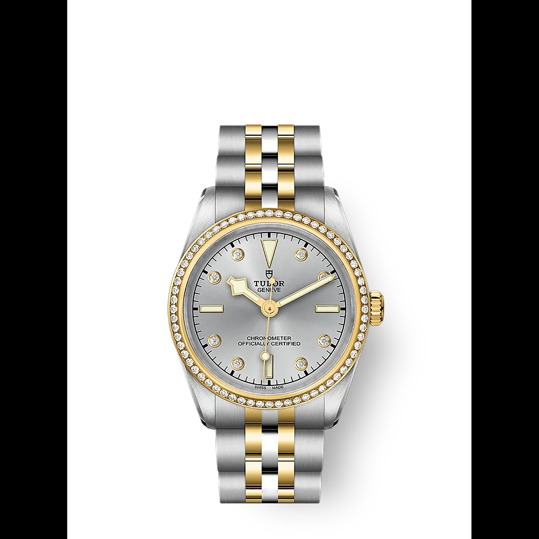 Tudor Black Bay 31 S&G, 316L Stainless Steel, 18k Yellow Gold and Diamonds, Ref# M79613-0006