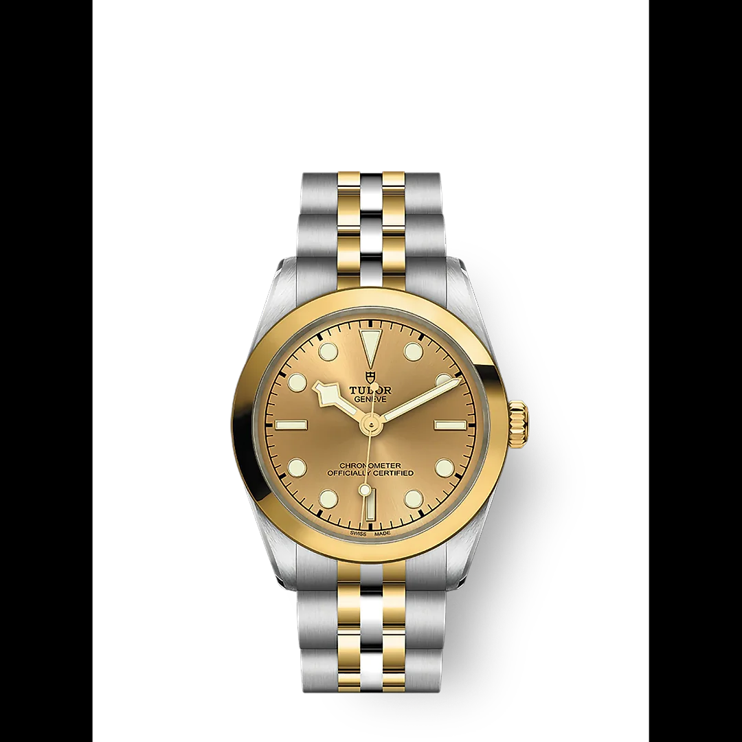 Tudor Black Bay 31 S&G, 316L Stainless Steel and 18k Yellow Gold, Ref# M79603-0005